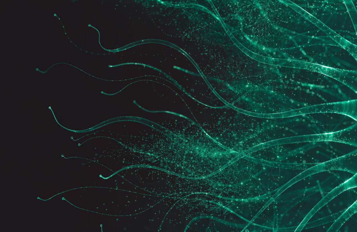 Glowing green neural network filaments on a dark background