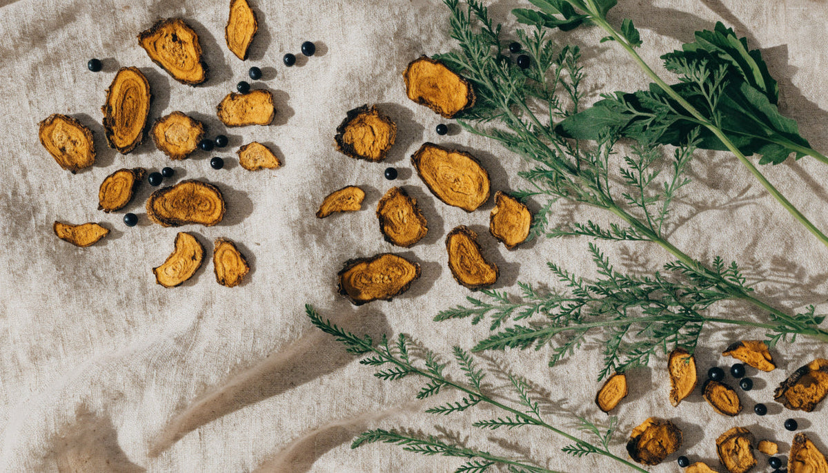 Adaptogen roots, herbs and berries arranged on pale linen