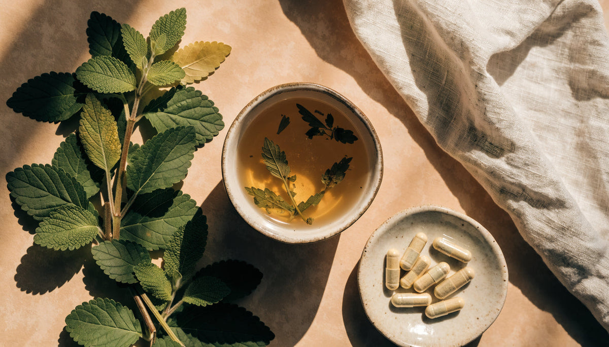 Calming flat lay of lemon balm leaves, herbal tea and capsules in golden light