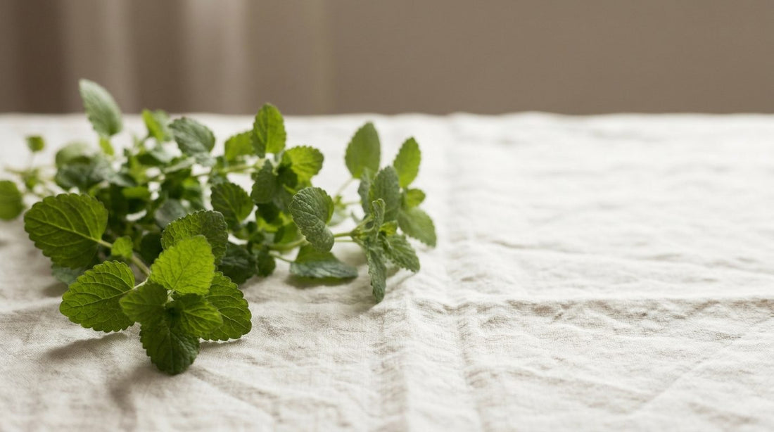 Fresh lemon balm sprigs on natural linen