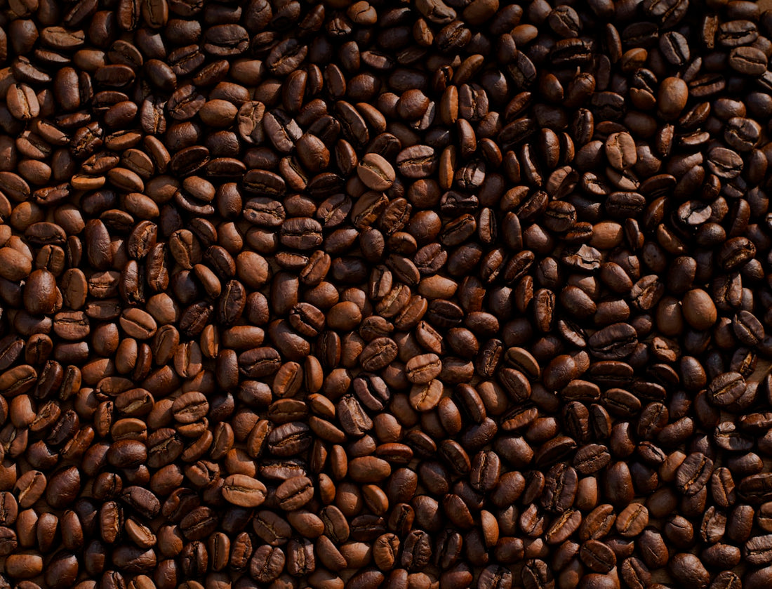 Roasted coffee beans
