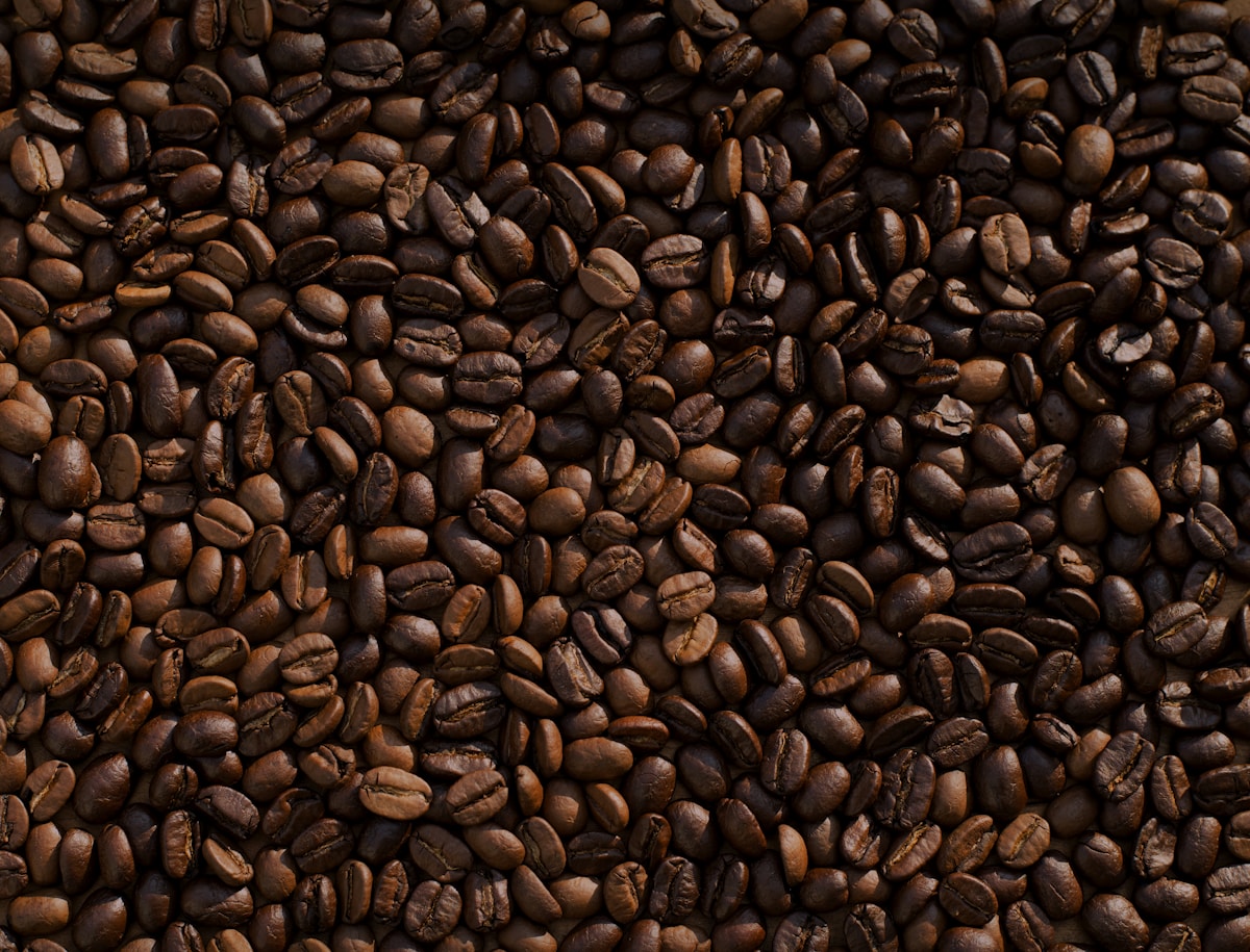 Roasted coffee beans