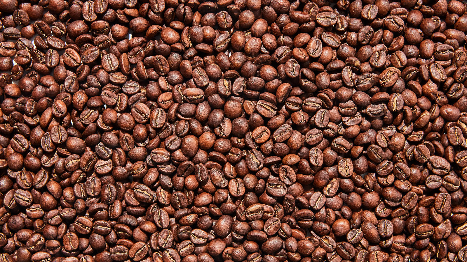 Close-up of roasted coffee beans