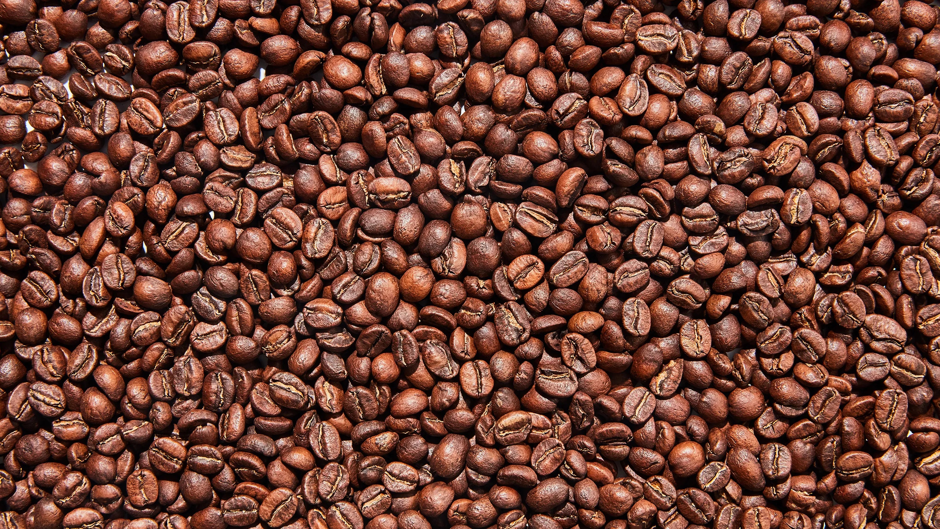 Close-up of roasted coffee beans