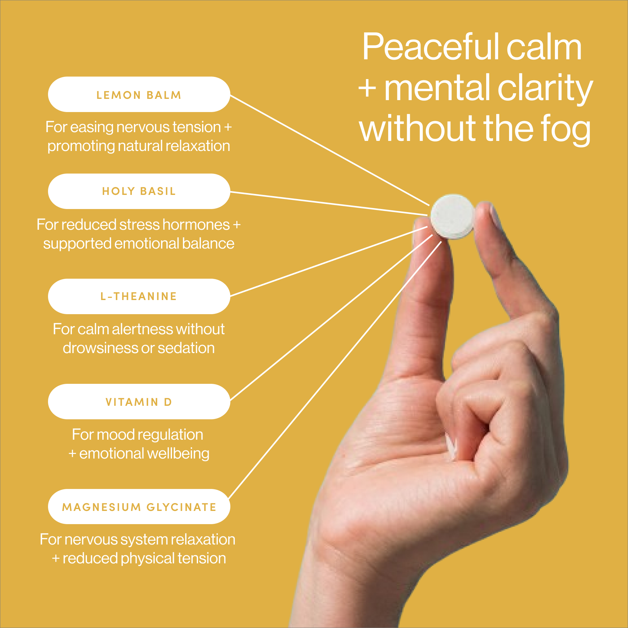 CALM+COLLECTED