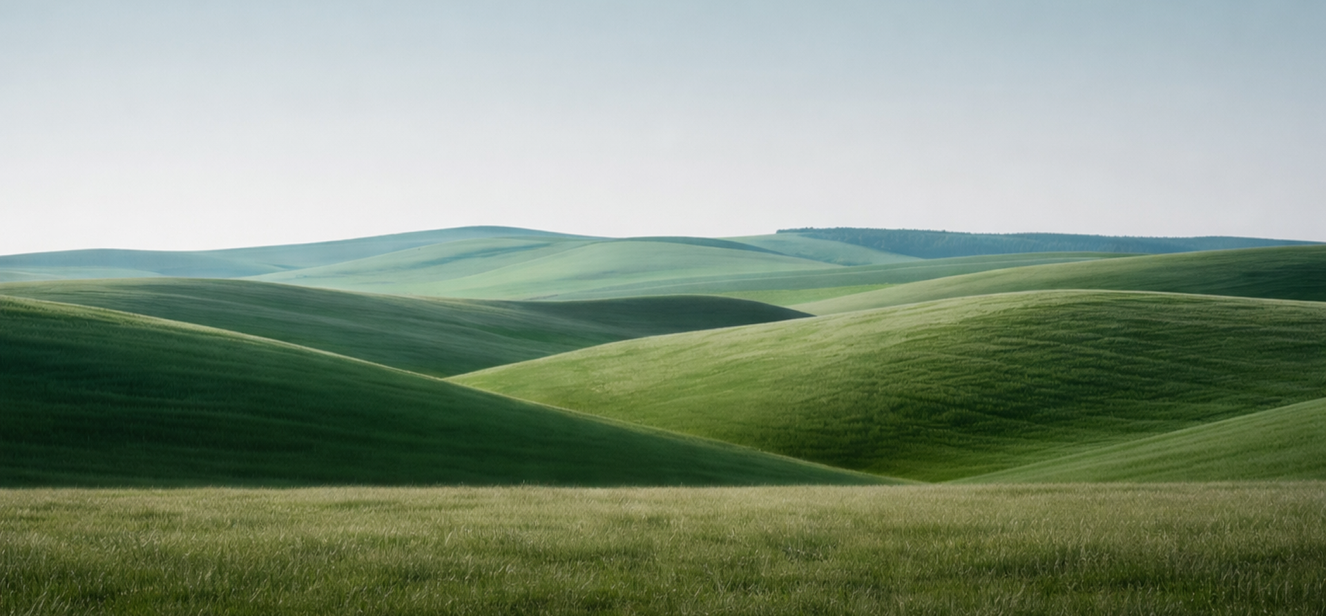 Green rolling hills under a clear blue sky