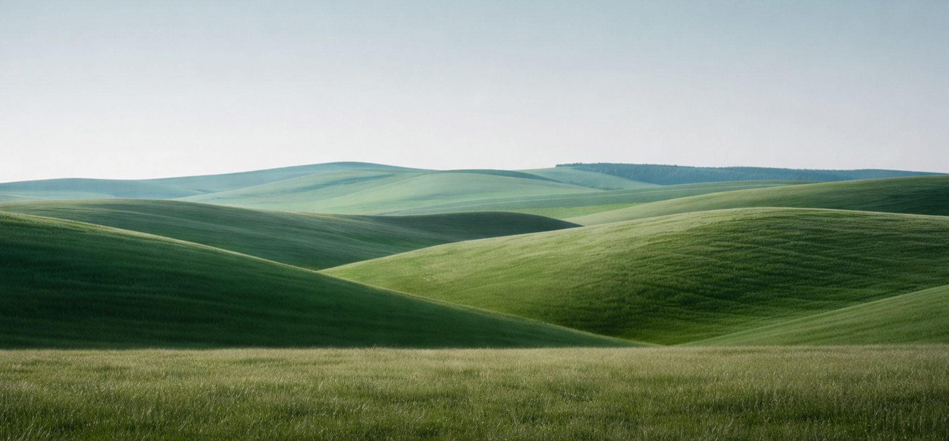 Rolling hills landscape