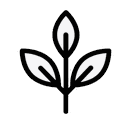 Leaf icon